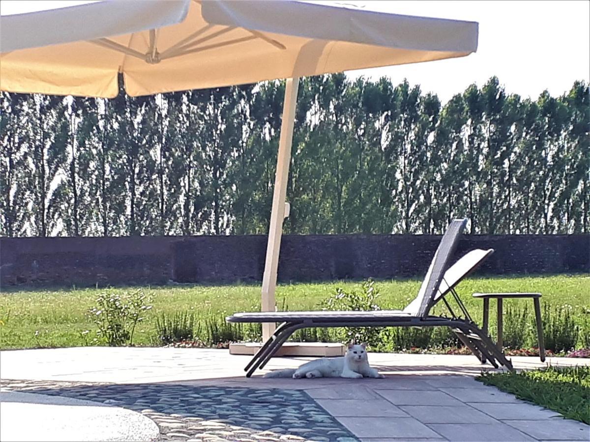 Agriturismo Casalbergo Isola della Scala Exterior photo